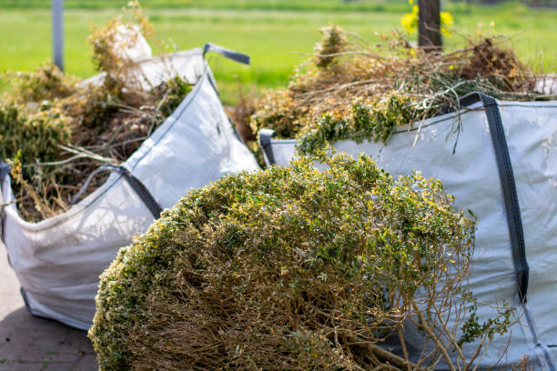 Best Same-Day Junk Removal  in Wfield, IN